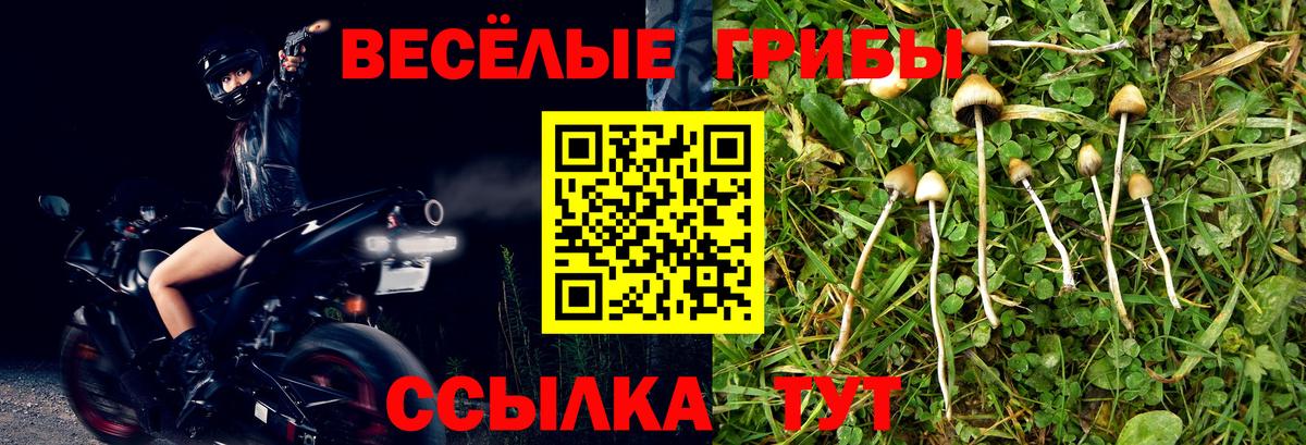 Златоуст  Галлюциногенные грибы Cubensis  Галлюциногенные грибы Magic Shrooms  Вход с VPN 